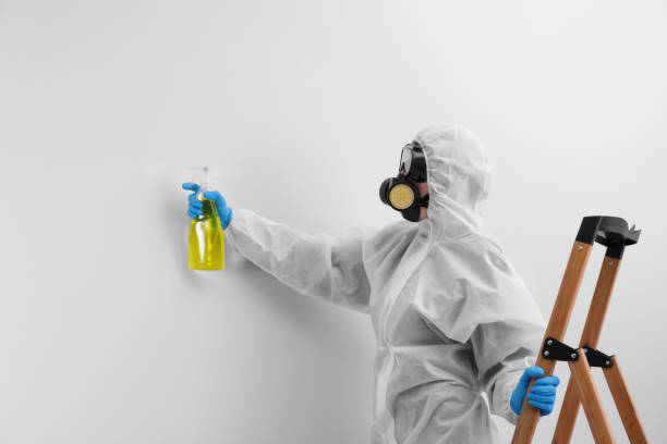 Why You Should Choose Our Mold Remediation Services in Tolar, TX